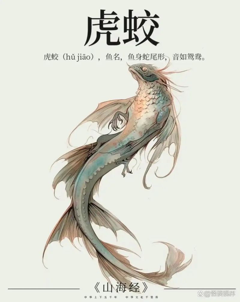 奎蛇知识