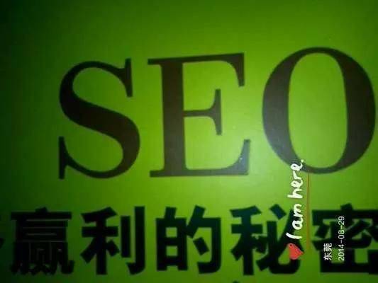 Seeo for money training seo8
