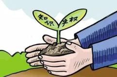 知识产权法的概念