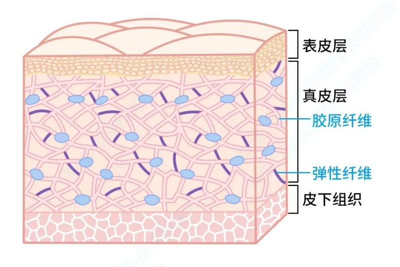 疤痕美白知识介绍