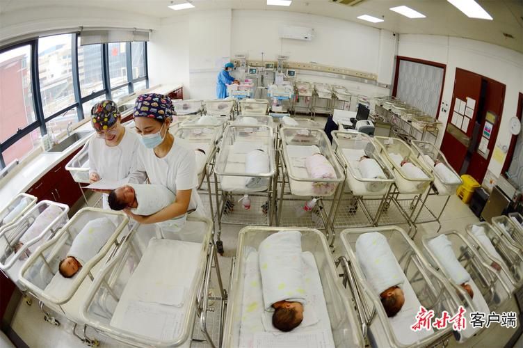 妇幼保健学的知识结构
