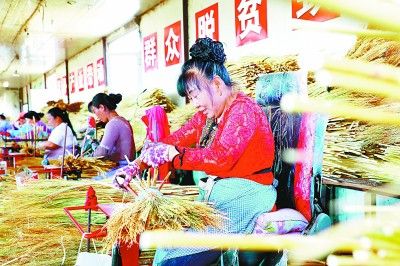 笤帚糜子种植技术