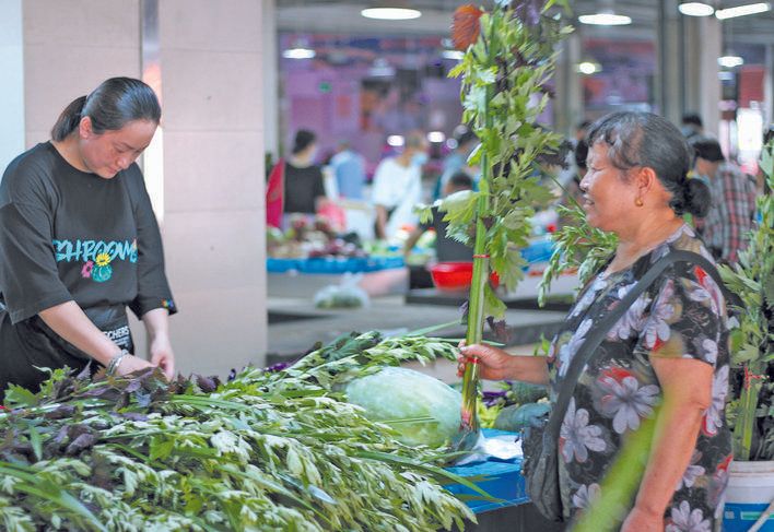 水菖蒲多少钱一斤
