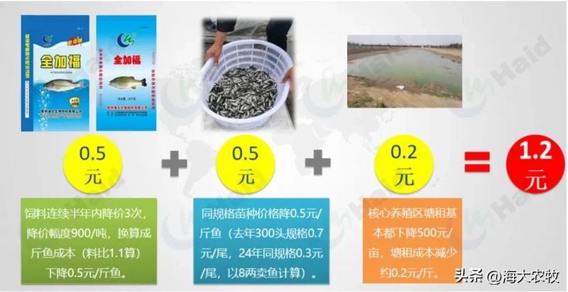 菜市场加州鲈鱼多少钱一斤