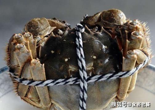金钱鲨多少钱一斤