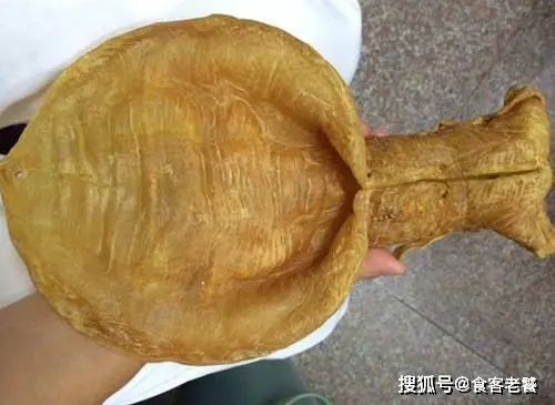 金钱鲨多少钱一斤