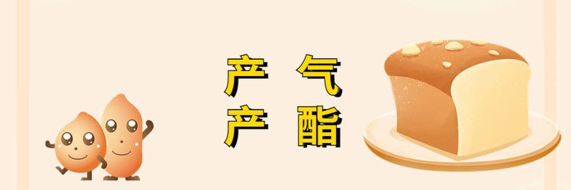 酵母菌异化作用特点