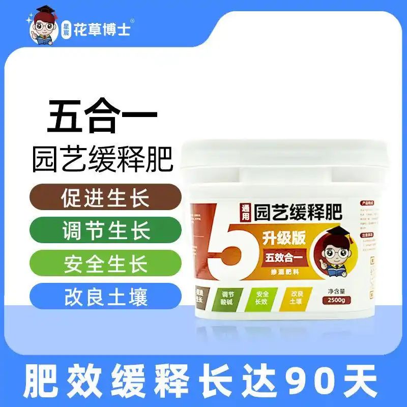 大叶荆芥种植方法如下