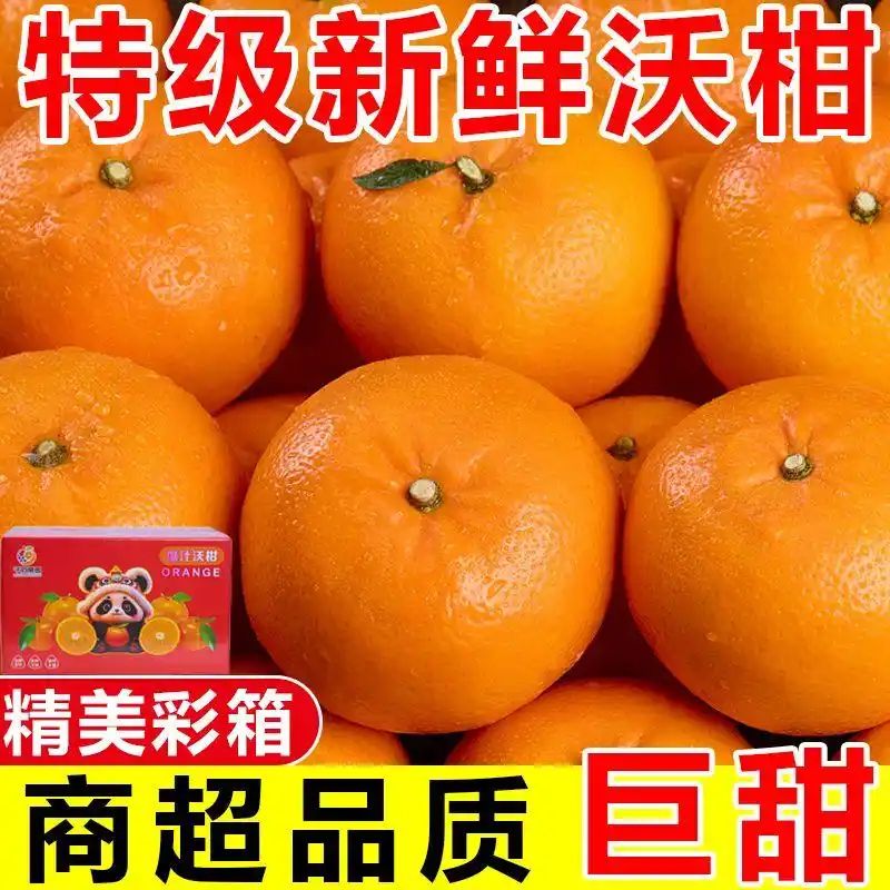 大叶荆芥种植方法如下