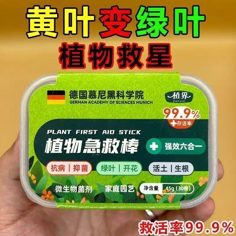 大叶荆芥种植方法如下