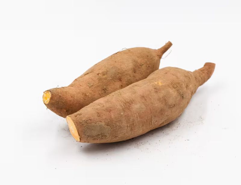 番薯叶种植方法