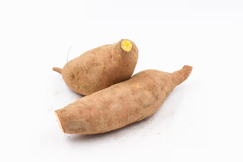 番薯叶种植方法