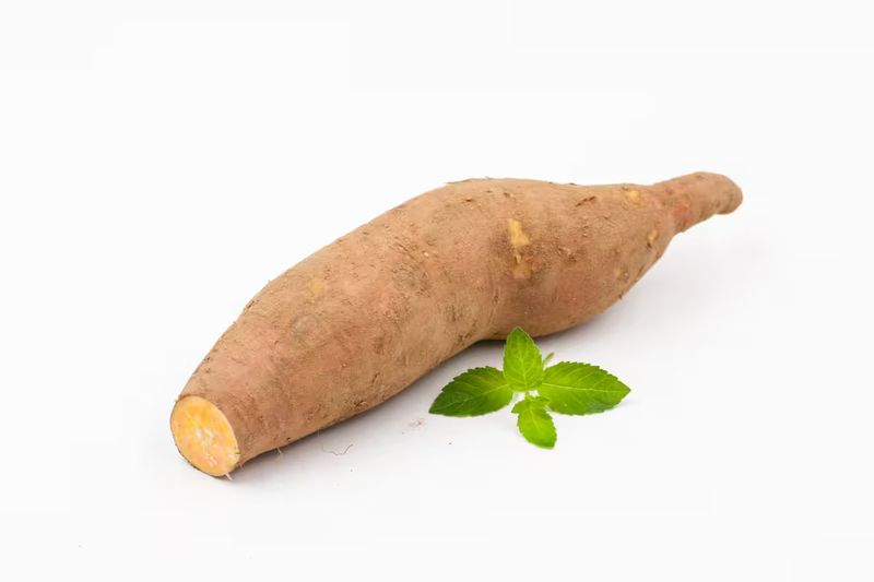 番薯叶种植方法