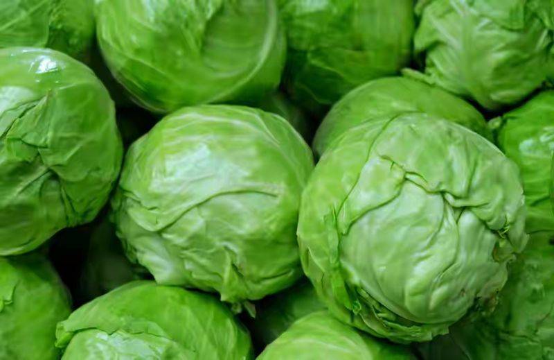卷心菜泡菜的腌制方法
