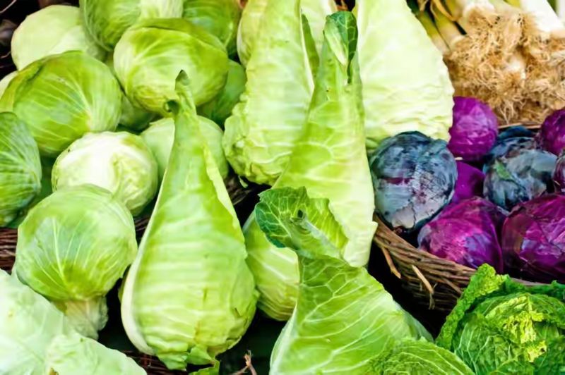 卷心菜泡菜的腌制方法