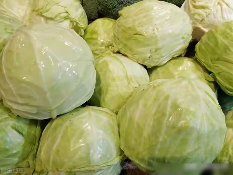 卷心菜泡菜的腌制方法