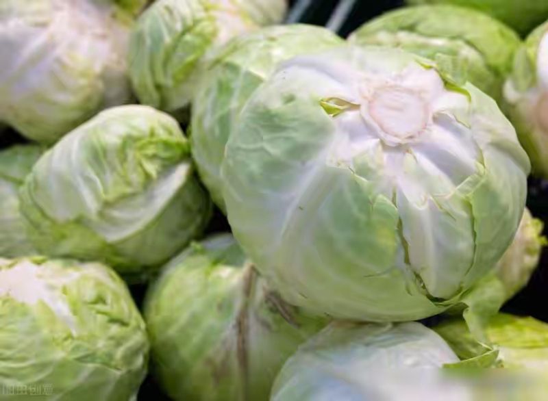 卷心菜泡菜的腌制方法