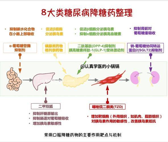 糖尿病知识教育