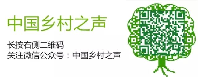 麦麸多少钱一吨