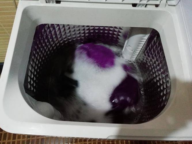 双缸洗衣机维修视频