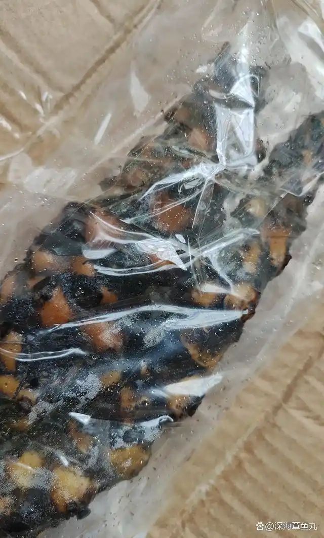 睡莲花的种植方法