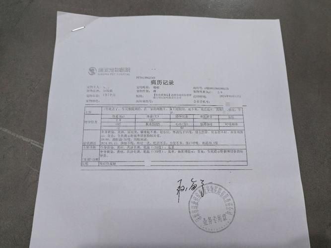宠物狗泰迪价格