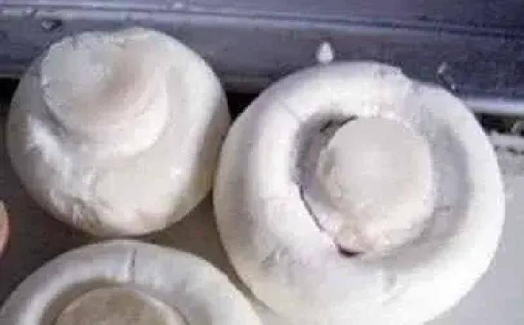 Home farming methods for mushrooms