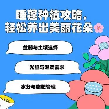 睡莲花的种植方法