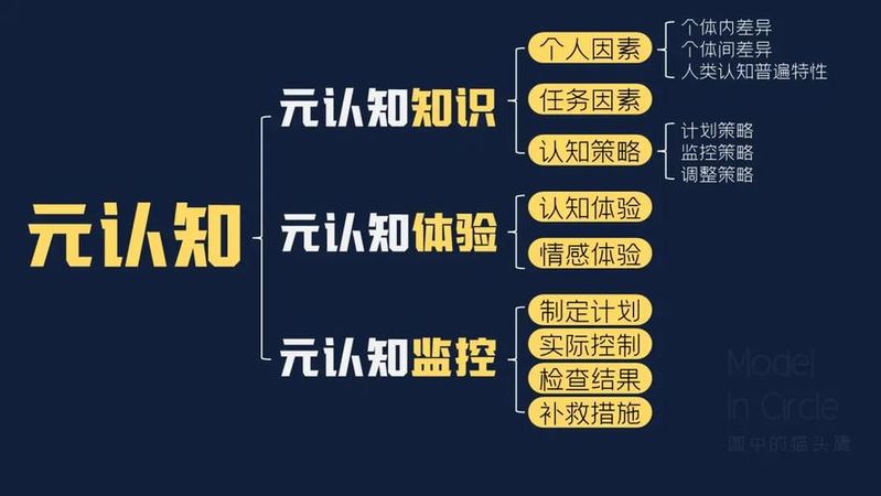 哲学+科学+常识