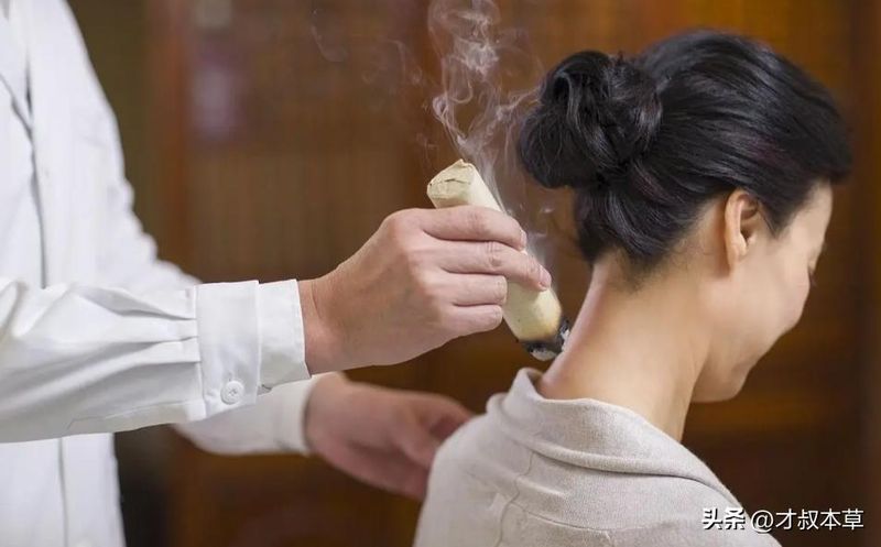 艾草怎么种植方法视频