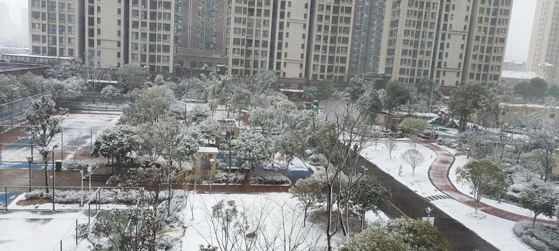 试管 多少钱 海淀妇幼
