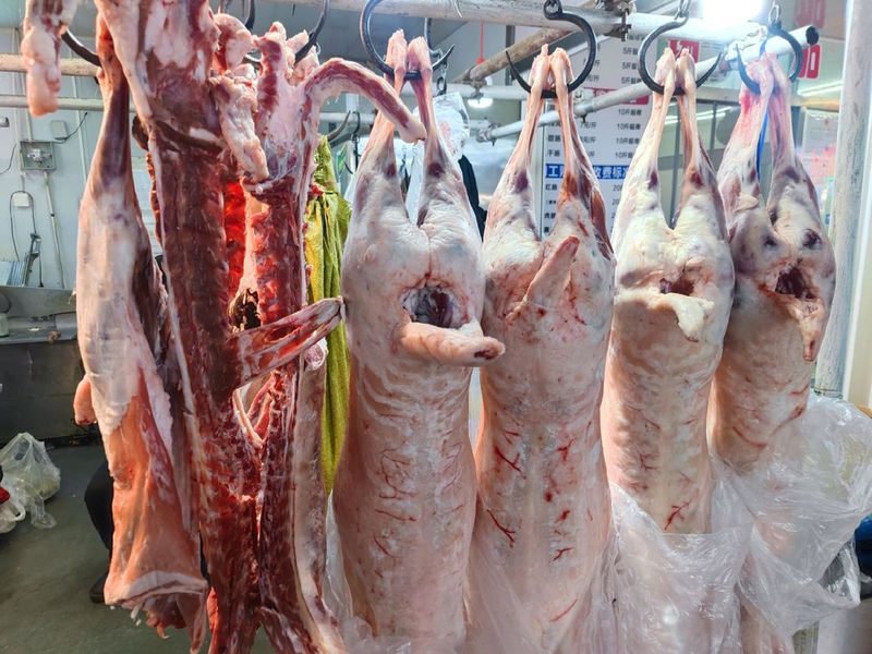 北京内蒙羊肉价格
