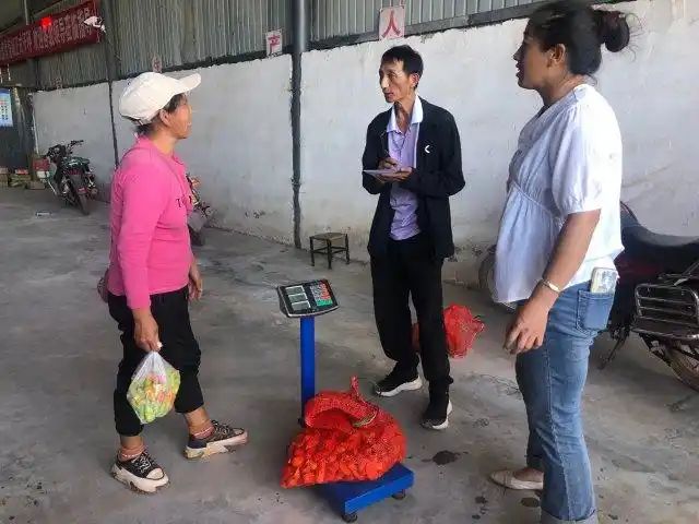 印度魔鬼椒种植方法