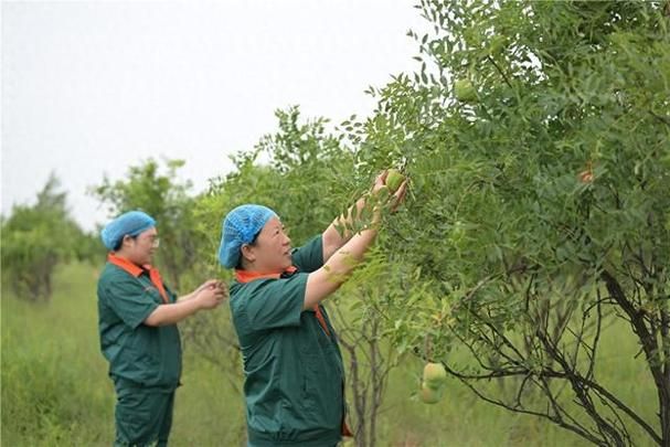 It's the technology to grow the canopy