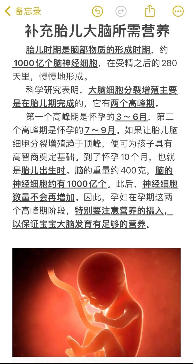 "baby 94: 1001 common senses taught by birth