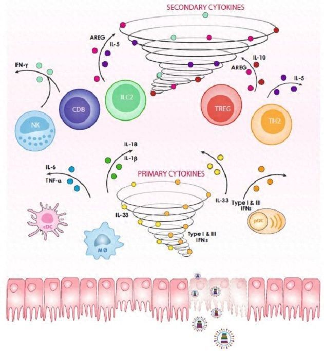Cart-cell therapy
