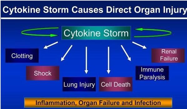 Cart-cell therapy