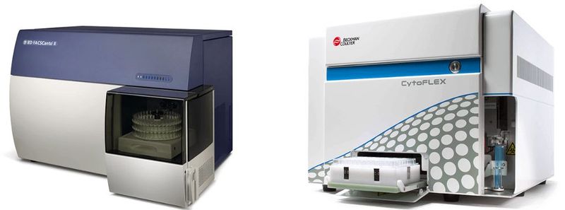 Cart-cell therapy