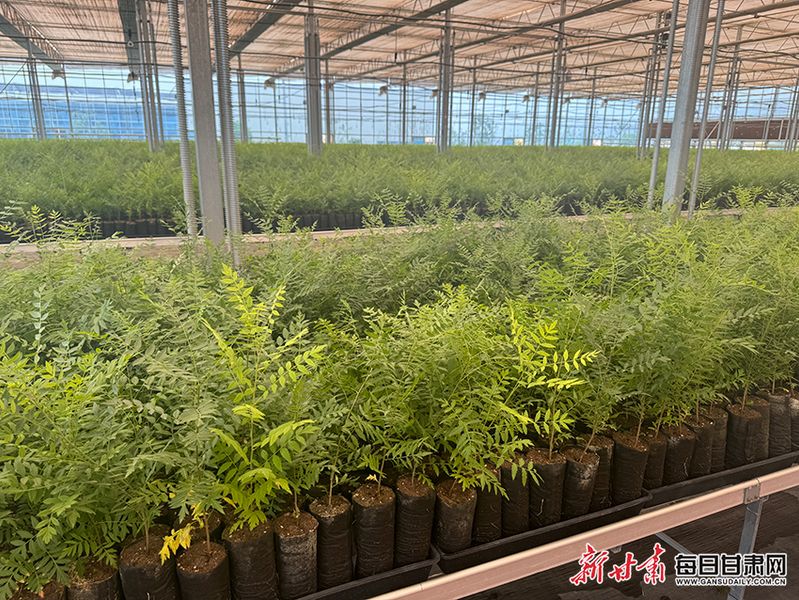 It's the technology to grow the canopy