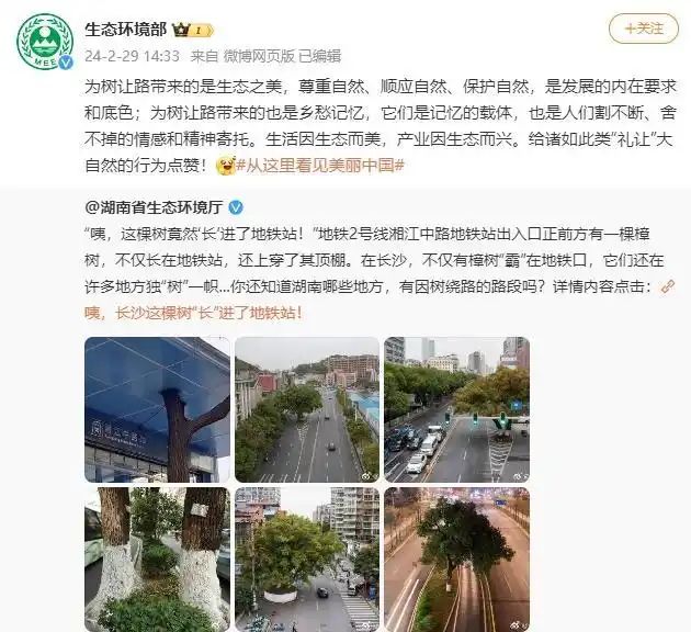 香樟树种植方法