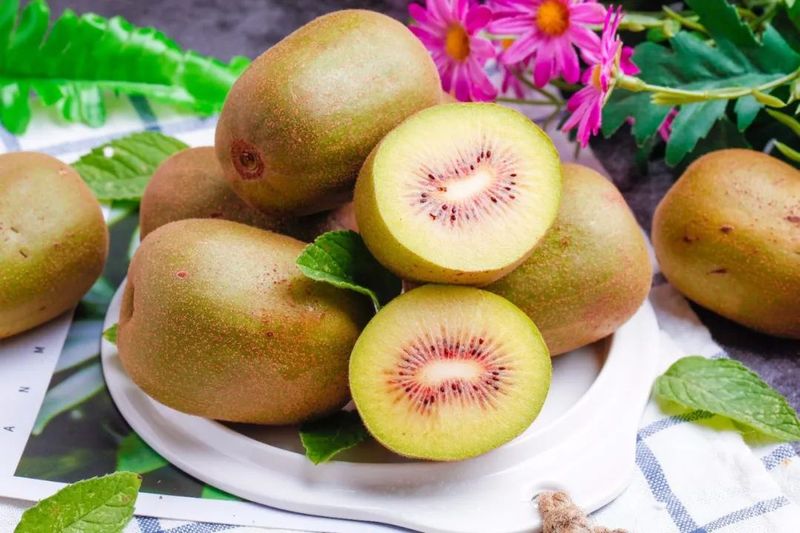 The technology of yellow-heard monkey cultivation