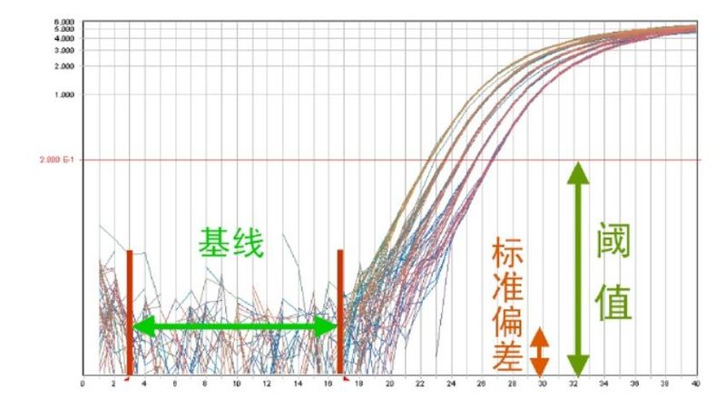 rt pcr实验步骤
