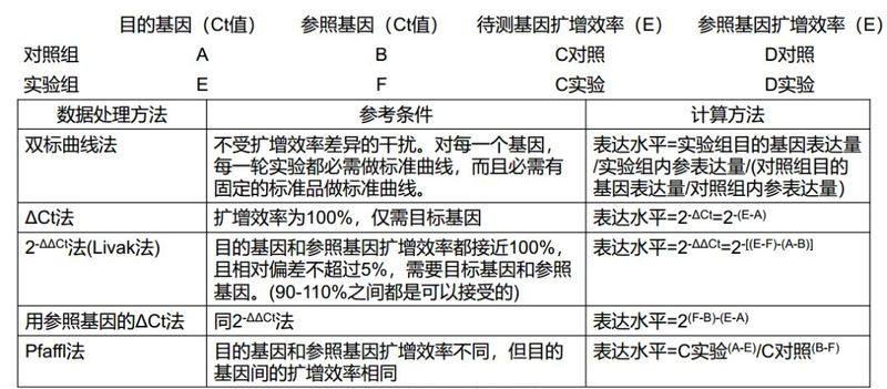 rt pcr实验步骤