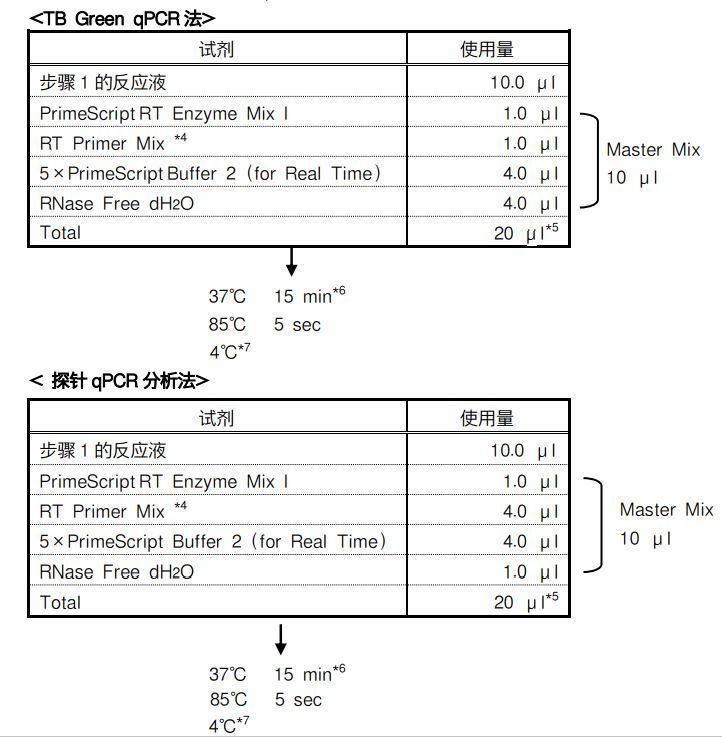 rt pcr实验步骤