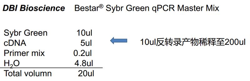 rt pcr实验步骤