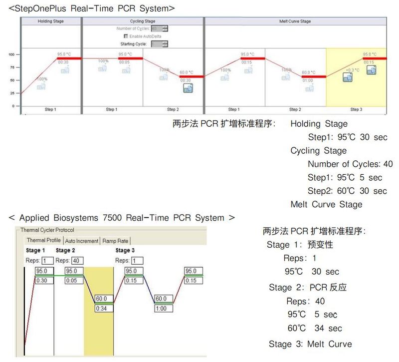 rt pcr实验步骤