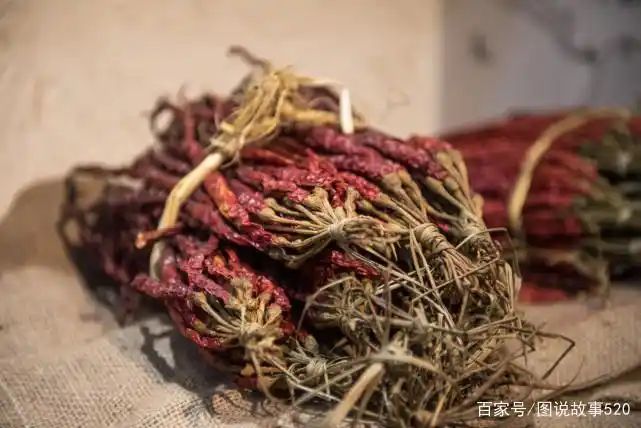 印度魔鬼椒种植方法