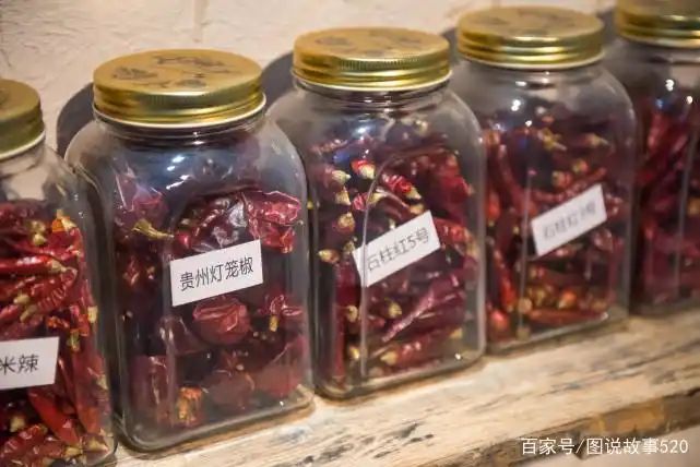 印度魔鬼椒种植方法