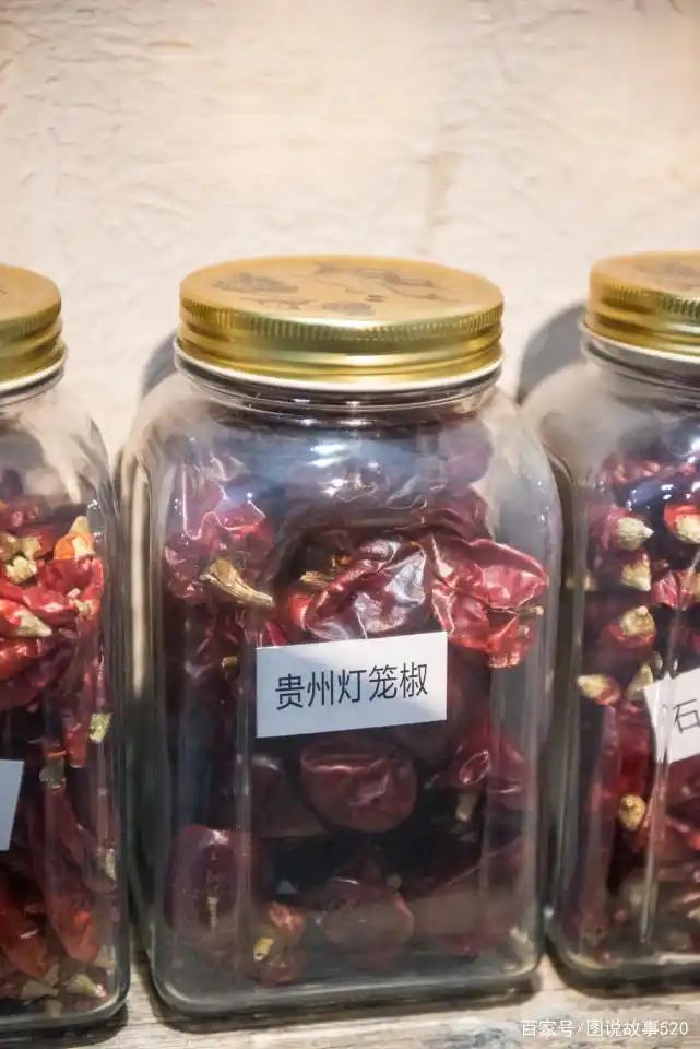 印度魔鬼椒种植方法