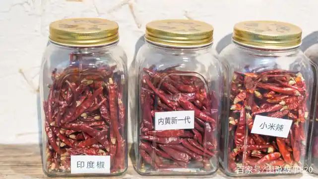 印度魔鬼椒种植方法